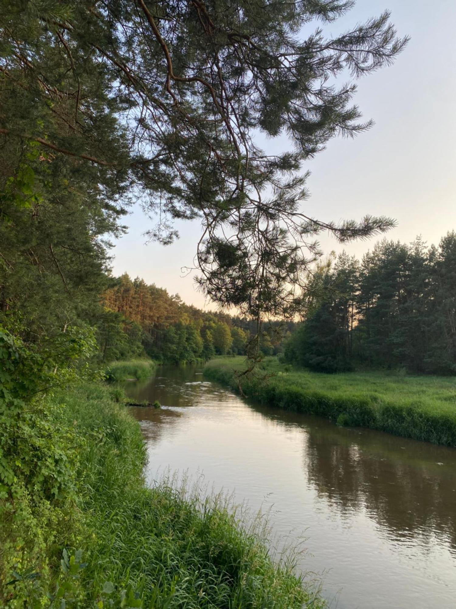 Ryczywol  Przytulny Domek W Lesie Blisko Rzeki מראה חיצוני תמונה